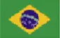 Brasil flag for change to portuguese version